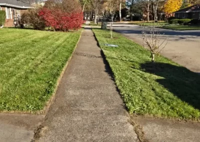 Landscape Services Company