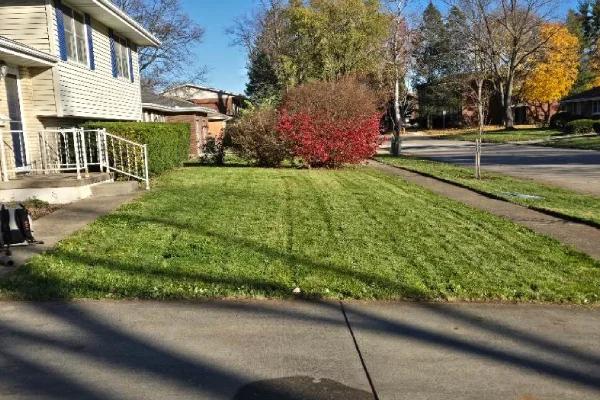 Residential Landscaping Residential Landscaping