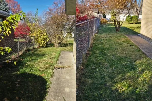 Yard Cleanup Yard Cleanup